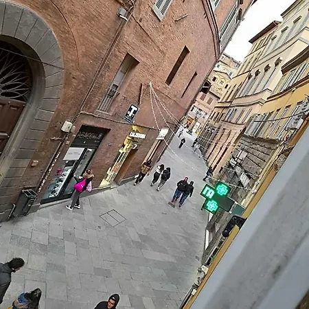 Il Corso Siena